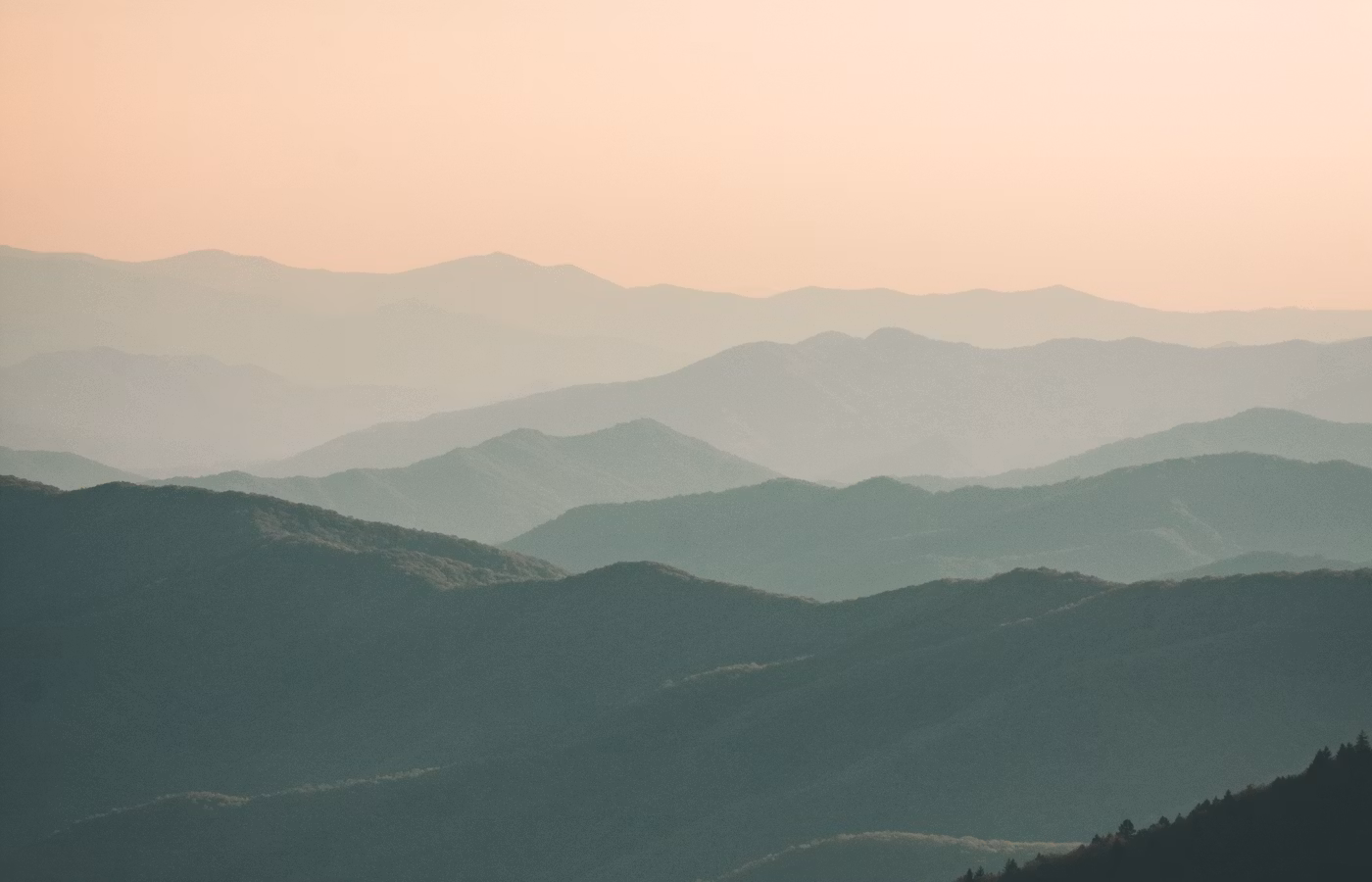 Карта решений онлайн в Ростов-на-Дону